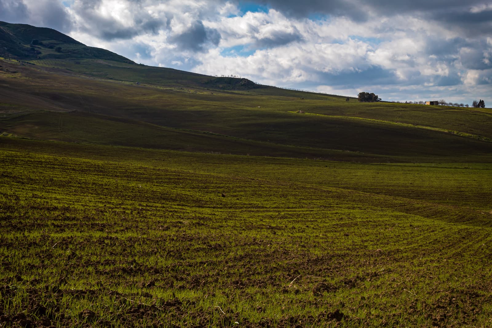 Fotografia naturalistica